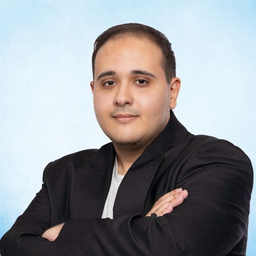 Ahmed Hafez, Software Developer