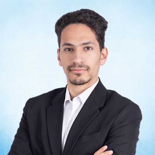 Mazen Ashraf, Software Department